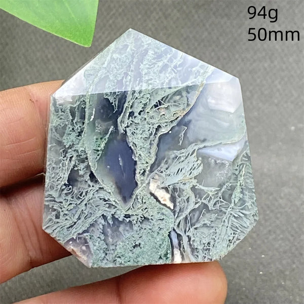 Green Water Plant Agate-ToShay.org