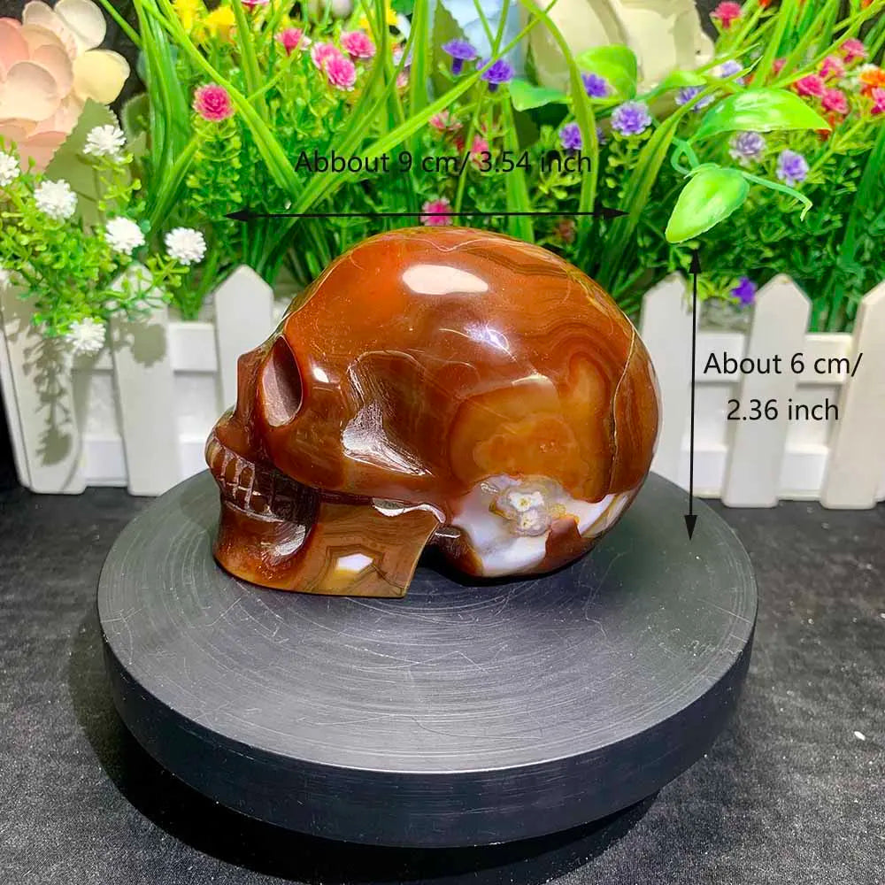 Red Sardonyx Skull-ToShay.org