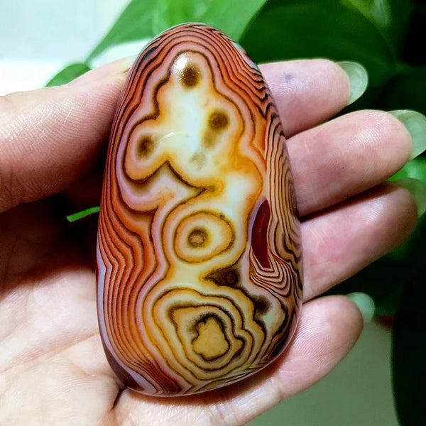 Red Lace Sardonyx Agate-ToShay.org