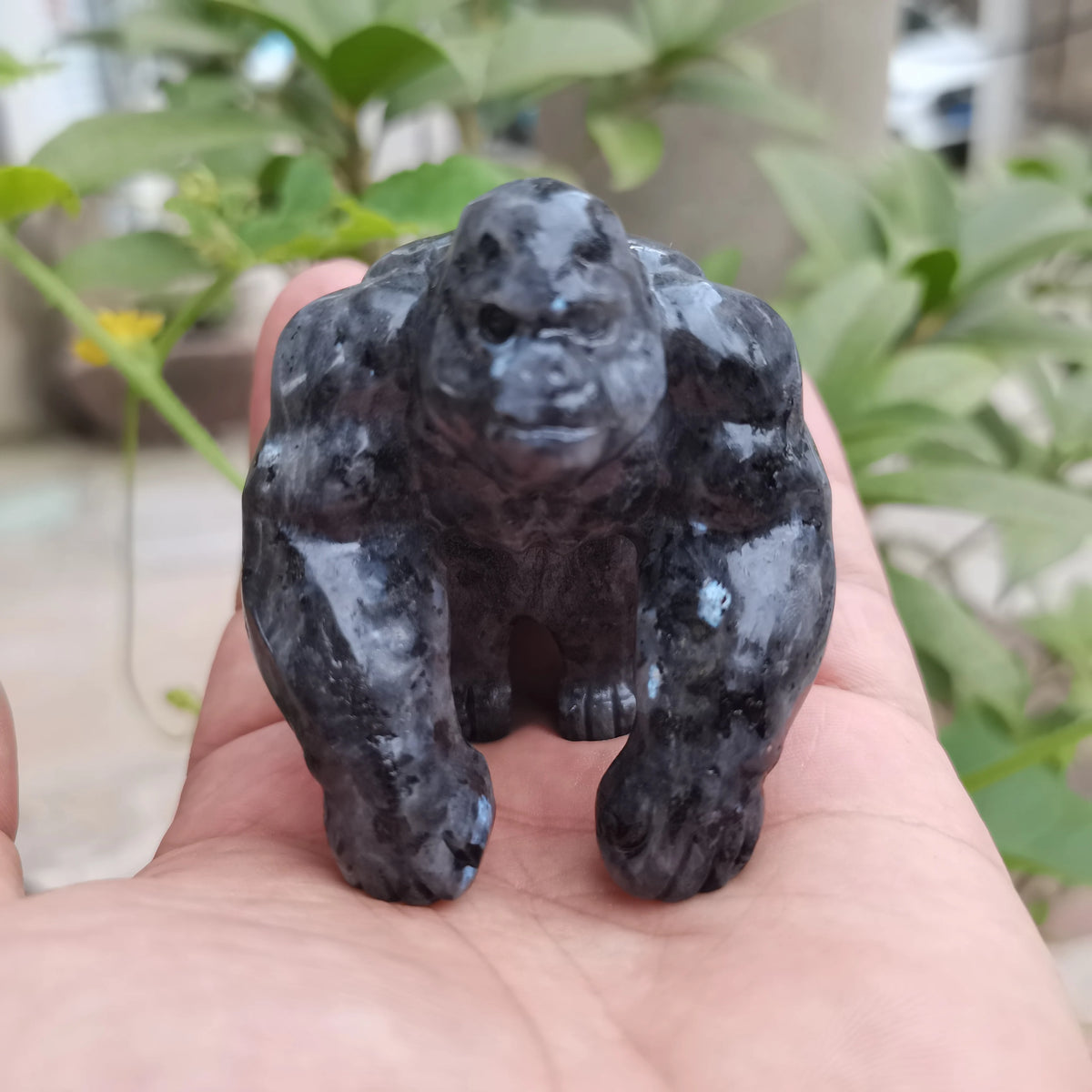 Black Obsidian Ape-ToShay.org