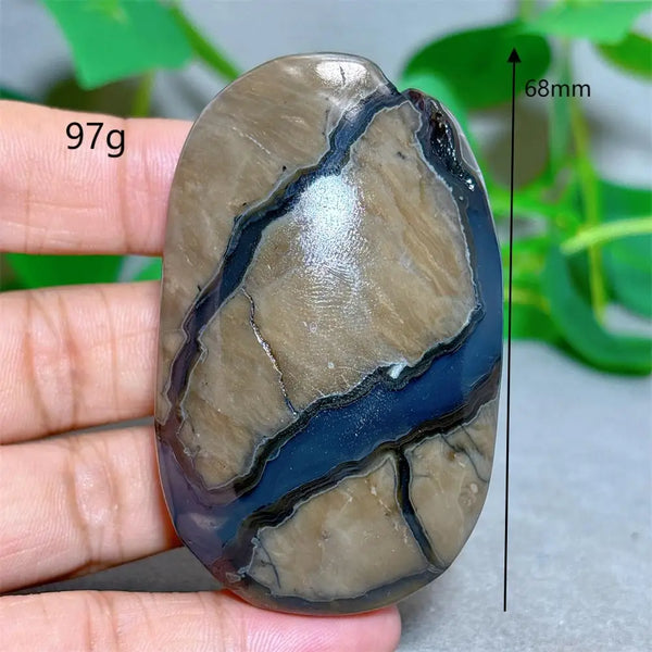 Fire Agate Palm Stone-ToShay.org