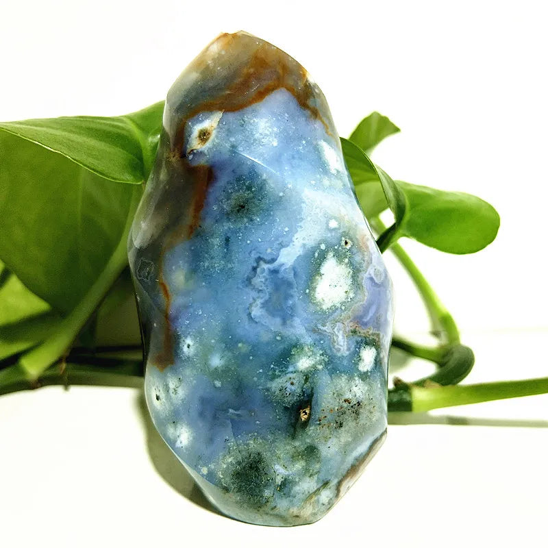 Ocean Jasper Point Flame-ToShay.org