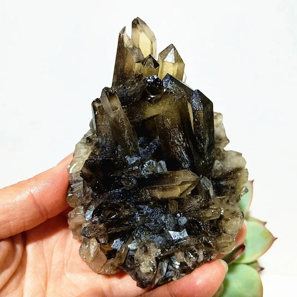 Smoky Quartz Crystal Cluster-ToShay.org