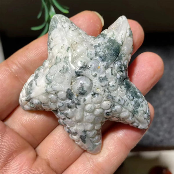 Green Moss Agate Starfish-ToShay.org
