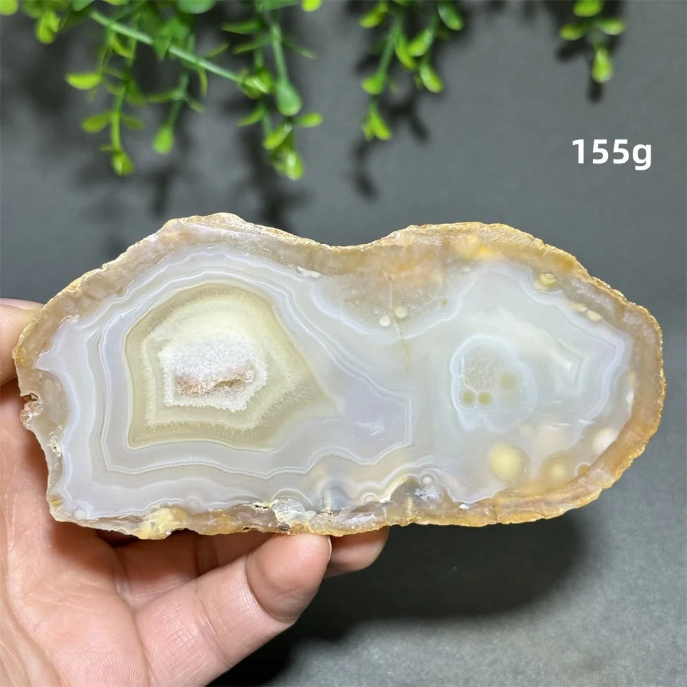 Yellow Agate Slice-ToShay.org