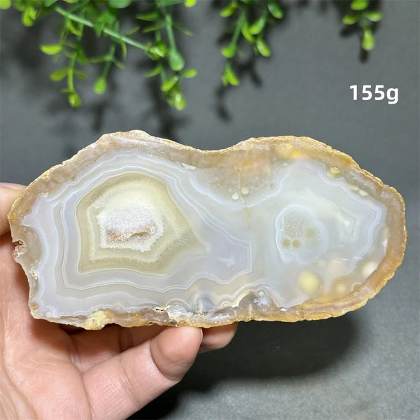 Yellow Agate Slice-ToShay.org