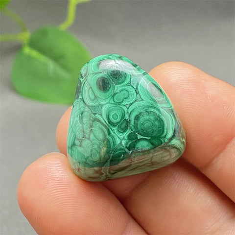 Green Malachite Tumbled Stone-ToShay.org