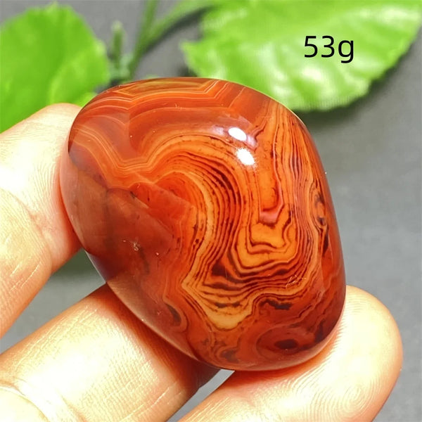 Orange Silk Lace Agate-ToShay.org