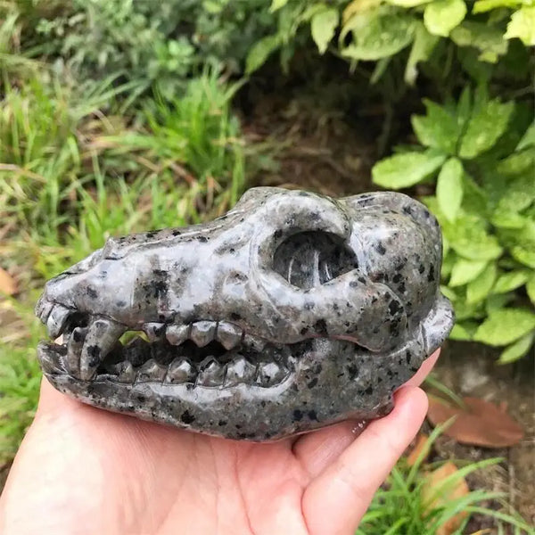 Grey Yooperlite Dinosaur Skull-ToShay.org