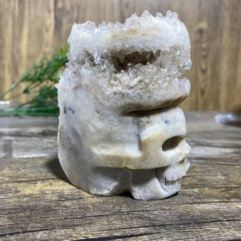 White Chrysanthemum Stone Skull-ToShay.org