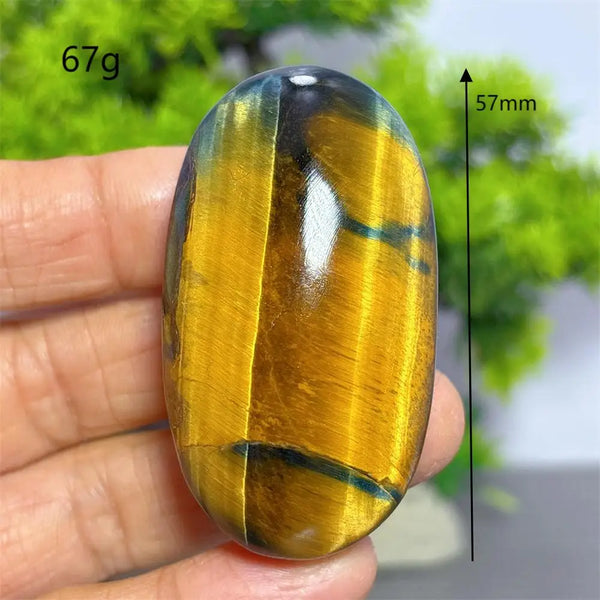 Blue Yellow Tiger Eye Stone-ToShay.org