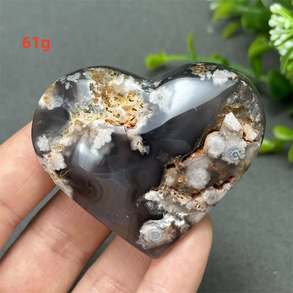 Black Cherry Blossom Agate-ToShay.org