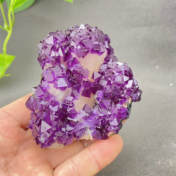 Purple Amethyst Crystal-ToShay.org