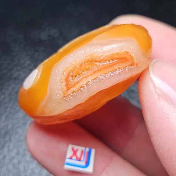 Mixed Gobi Alashan Agate-ToShay.org