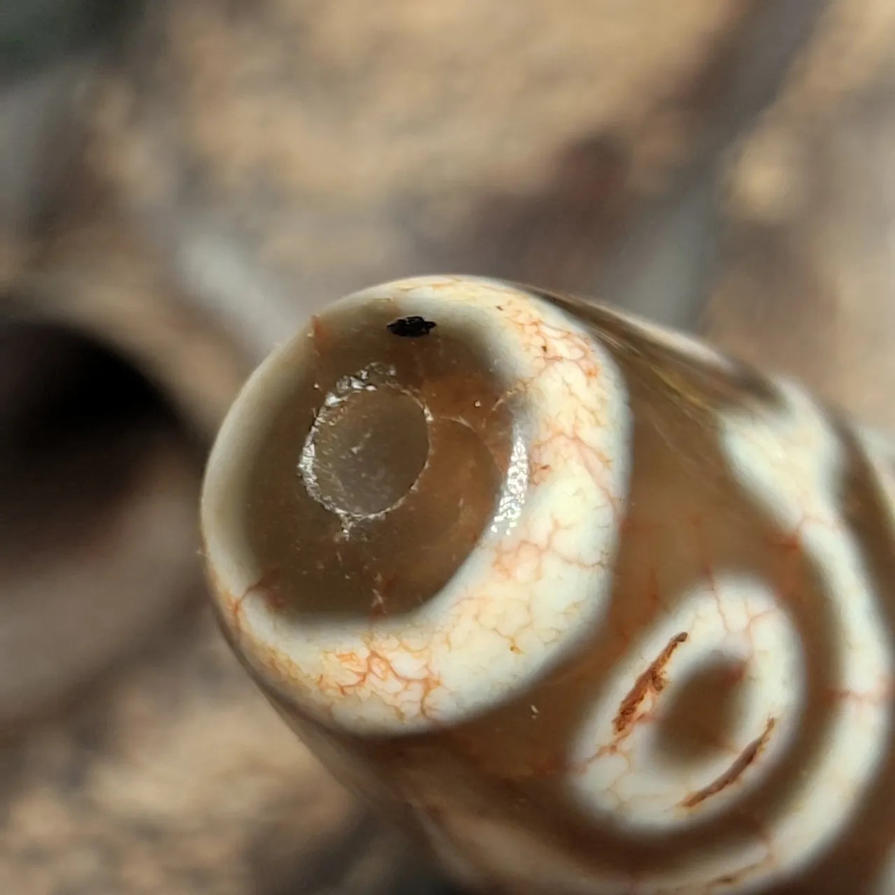 Tibetan Eyes Agate Dzi Beads-ToShay.org