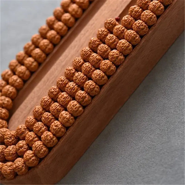 Brown Dragon Lotus Seed Beads-ToShay.org