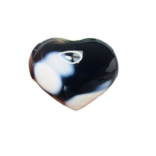 Black White Orca Agate-ToShay.org