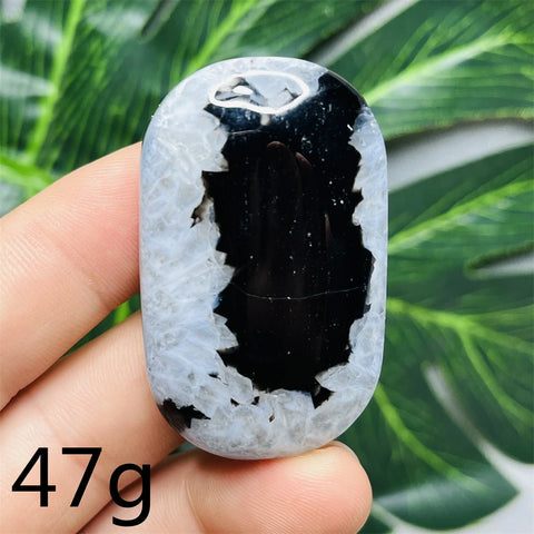 Black White Agate Palm Stone-ToShay.org