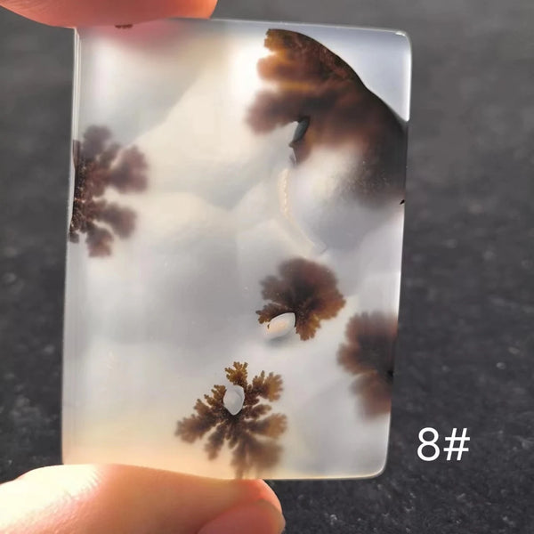 White Onyx Ocean Chalcedony-ToShay.org