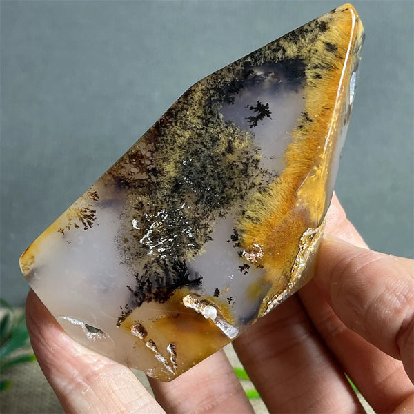 Black Rutilated Hair Raw Quartz-ToShay.org