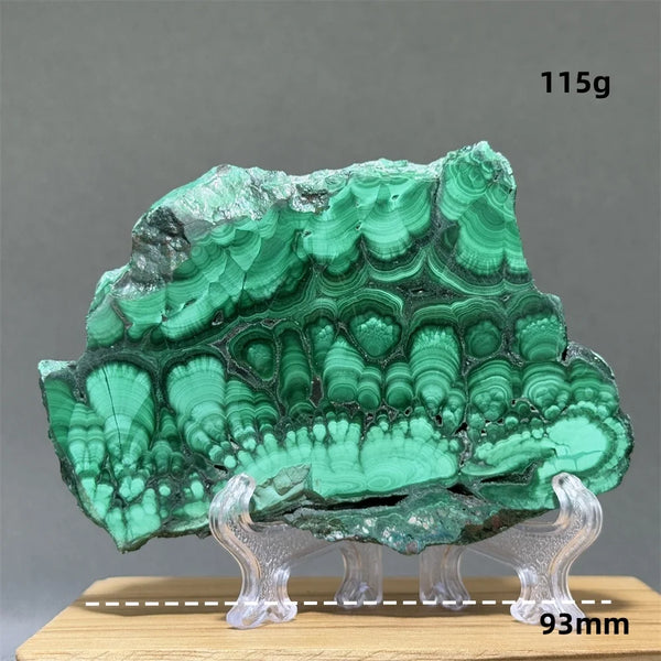 Green Malachite Slice-ToShay.org
