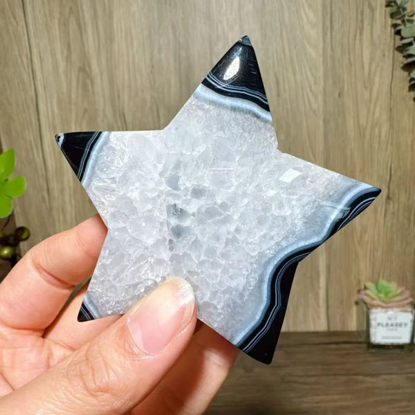 Black Agate Star-ToShay.org
