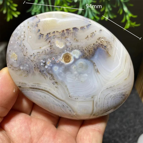 White Ink Moss Tree Agate-ToShay.org