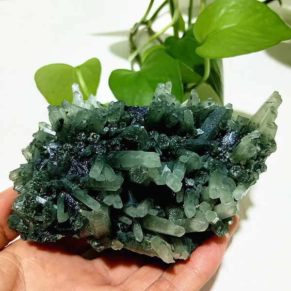 Green Epidote Crystal Cluster-ToShay.org