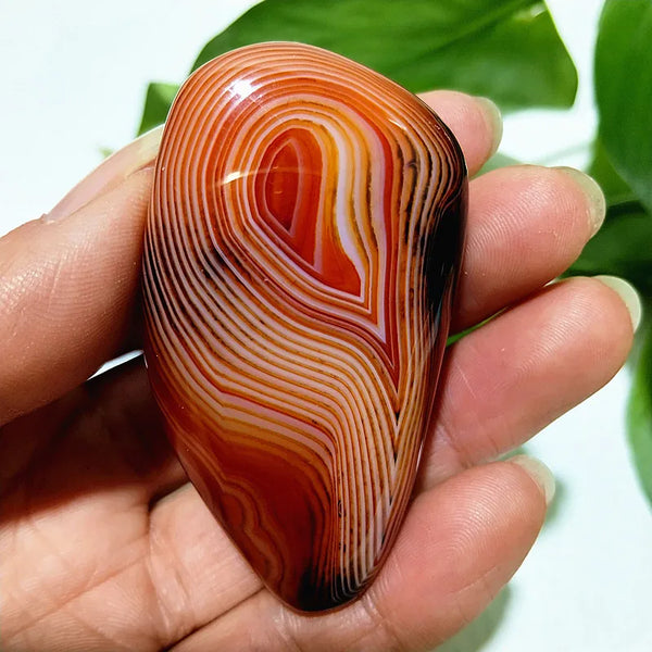 Red Lace Sardonyx Palm Stones-ToShay.org