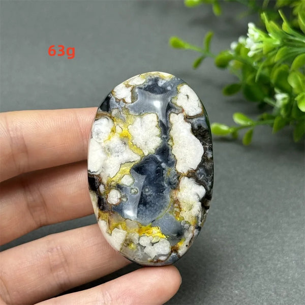 Black Cherry Blossom Agate-ToShay.org