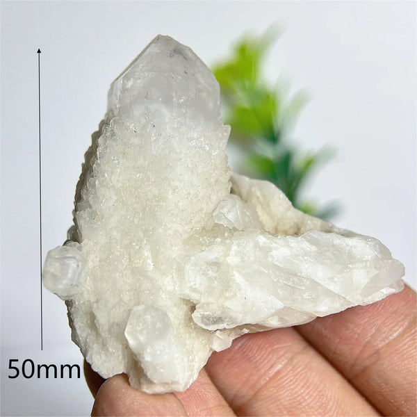Clear Pineapple Quartz Cluster-ToShay.org