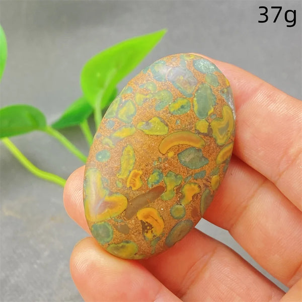 Green Rainforest Palm Stone-ToShay.org