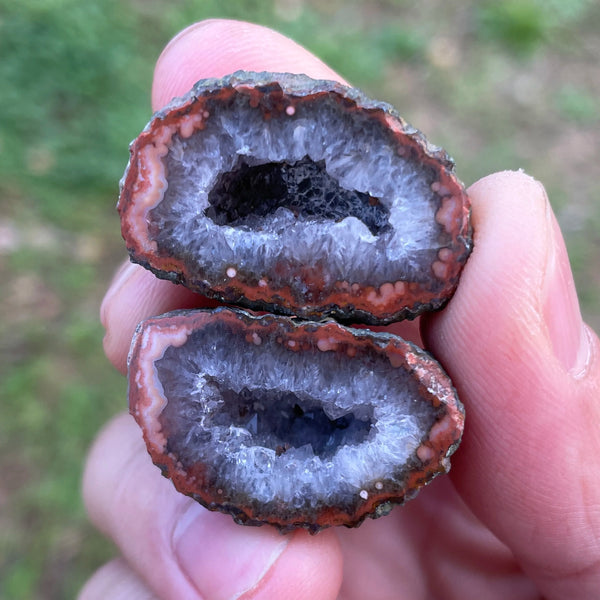 Mixed Agate Geode Egg-ToShay.org