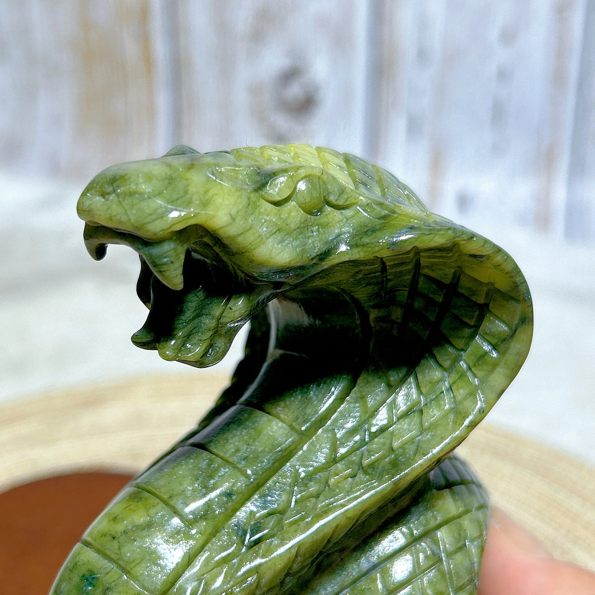 Green Jasper Cobra-ToShay.org