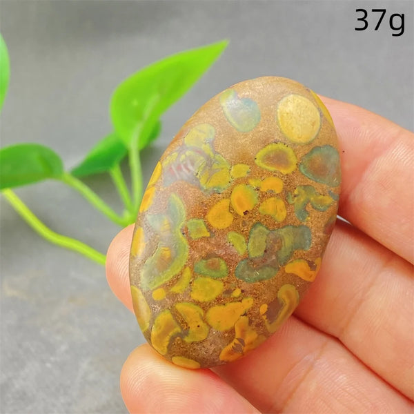 Green Rainforest Palm Stone-ToShay.org