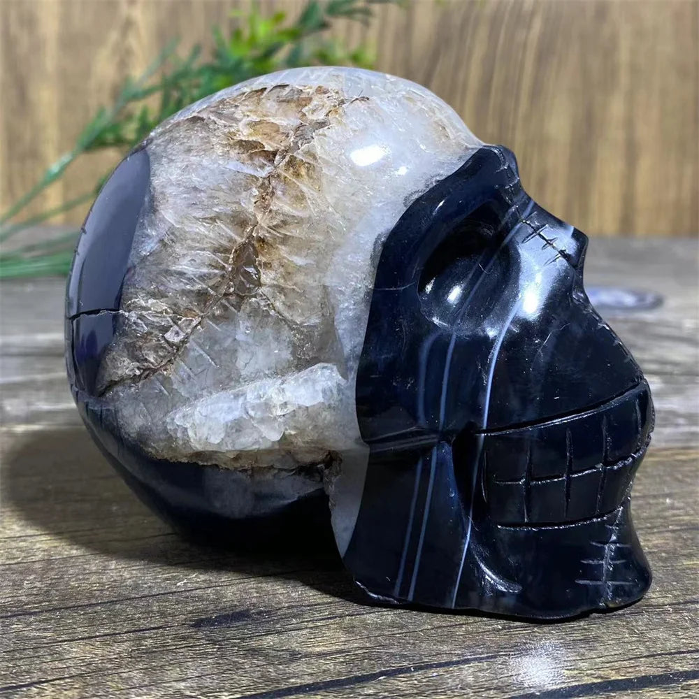 Black Agate Skull-ToShay.org
