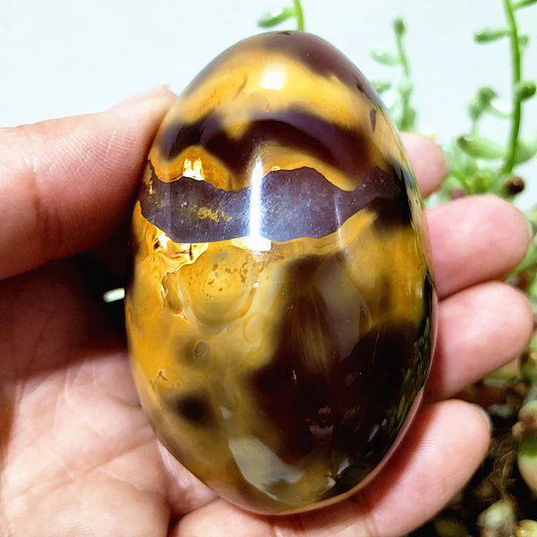 Mixed Lace Sardonyx Agate-ToShay.org
