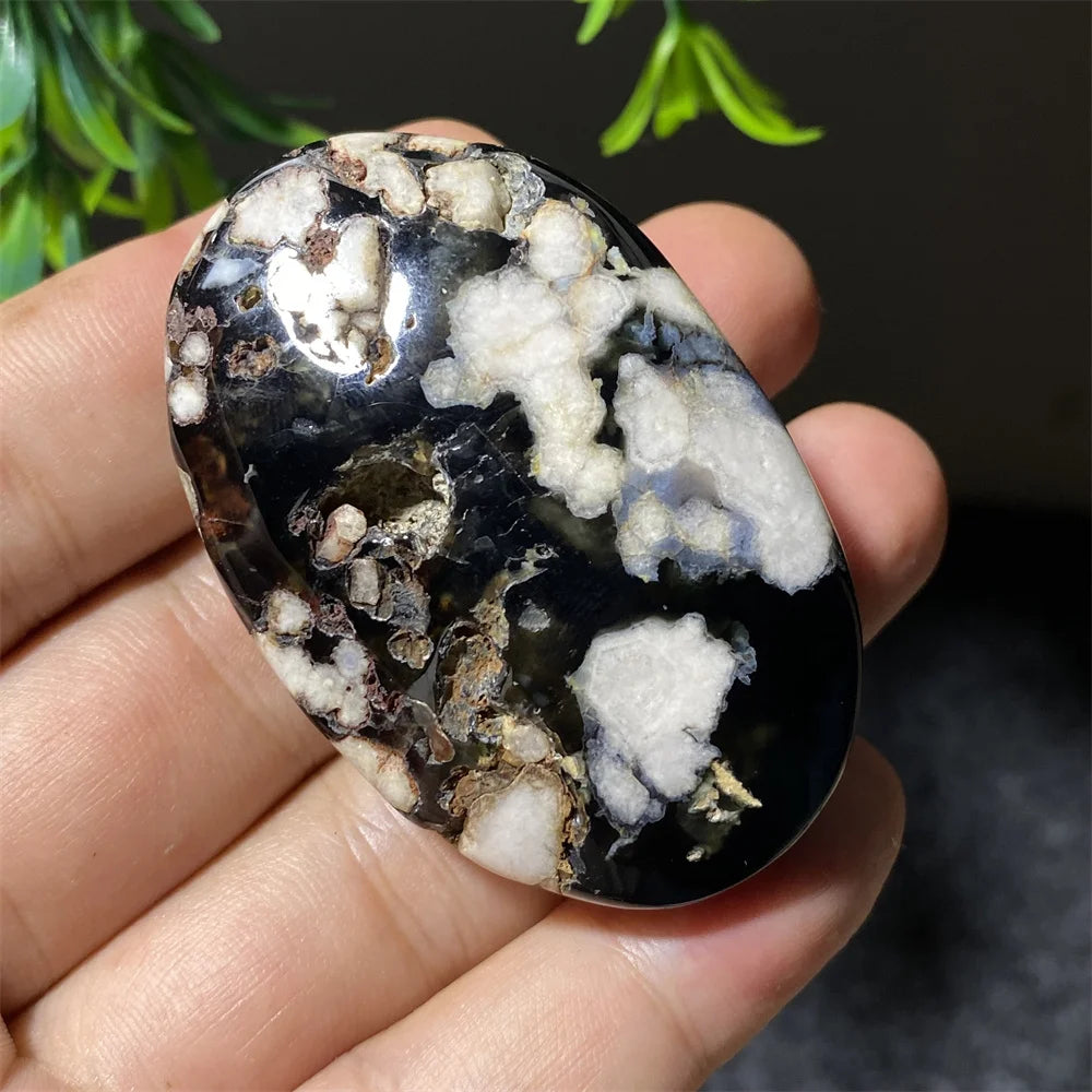 Black Flower Agate-ToShay.org