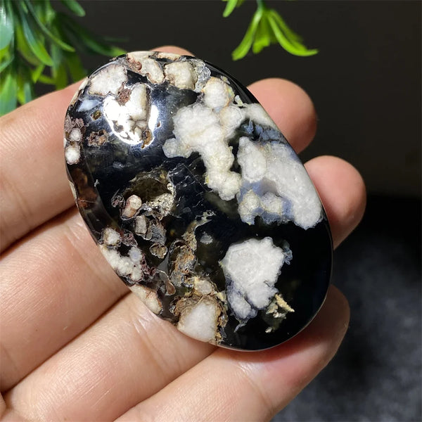 Black Flower Agate-ToShay.org