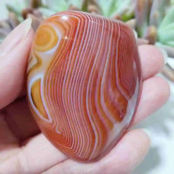 Red Sardonyx Lace Agate-ToShay.org