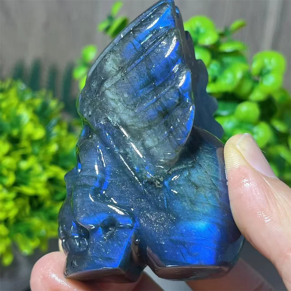 Blue Labradorite Feather Skull-ToShay.org