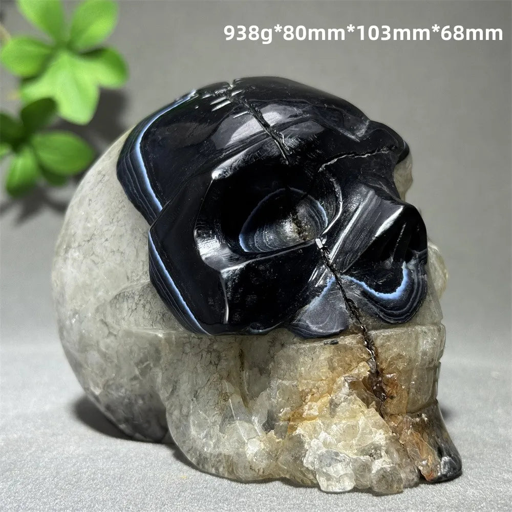 Black Agate Skull-ToShay.org
