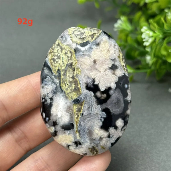 Black Cherry Blossom Agate-ToShay.org