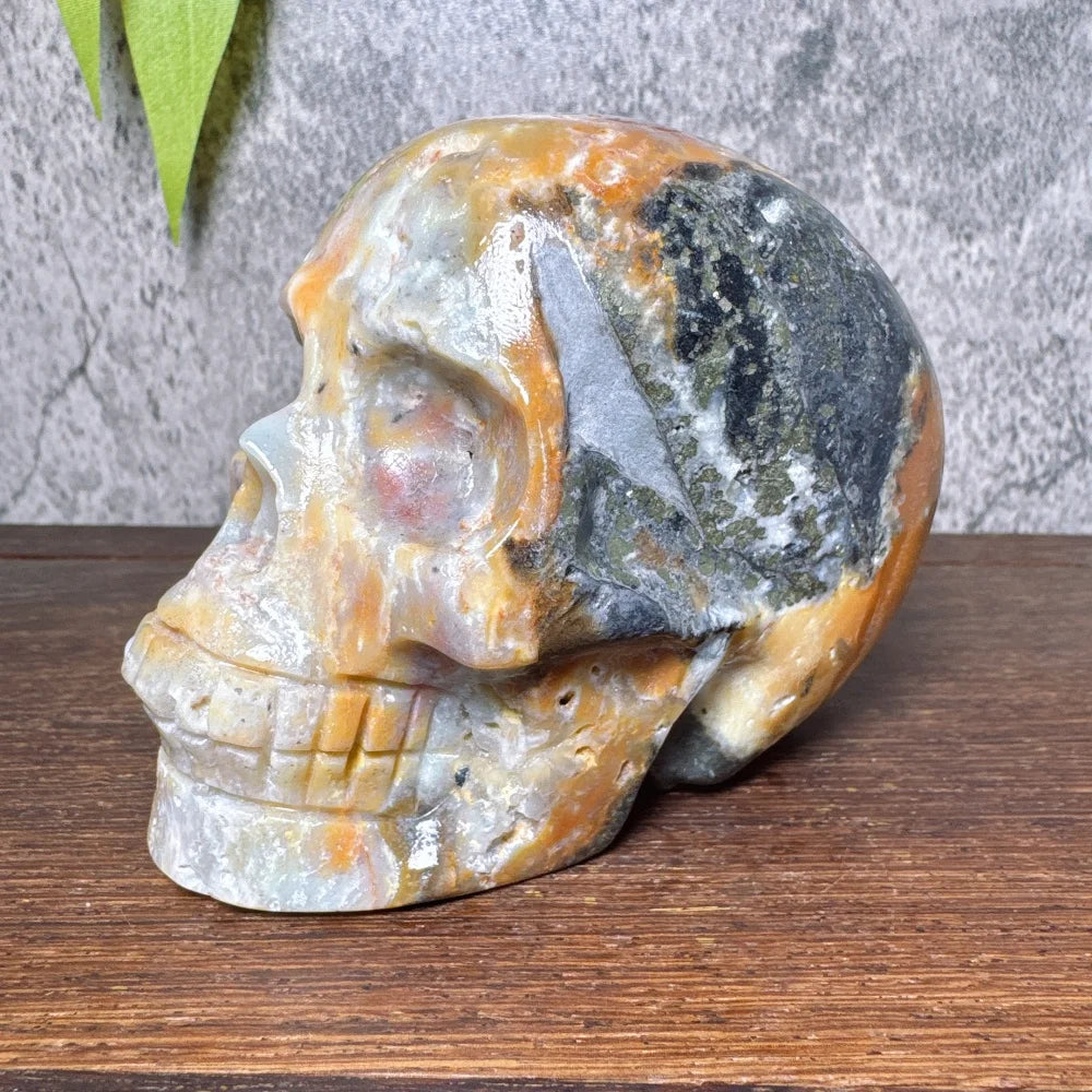 Grey Amzonite Skull-ToShay.org