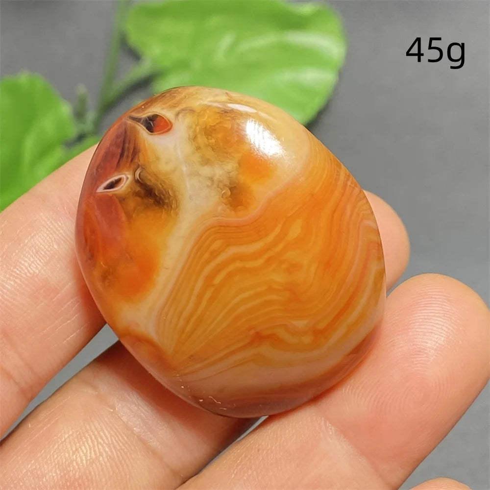 Orange Silk Lace Agate-ToShay.org
