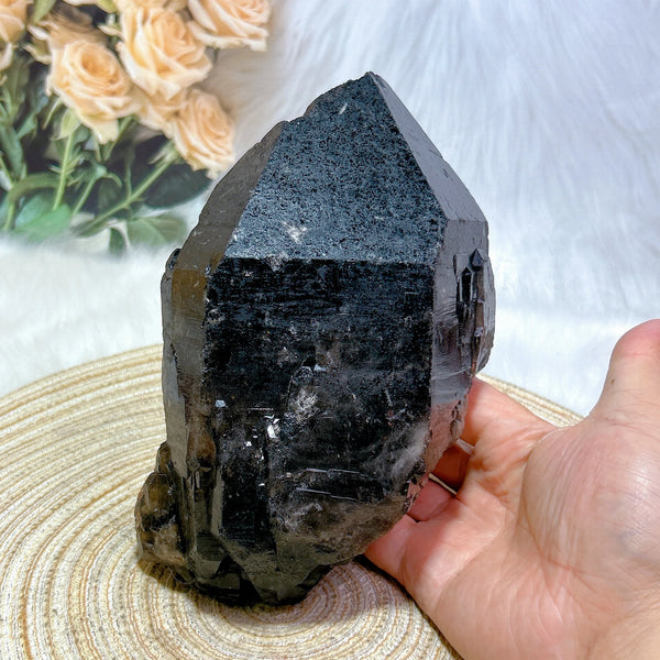 Black Quartz Skeletal Cluster-ToShay.org