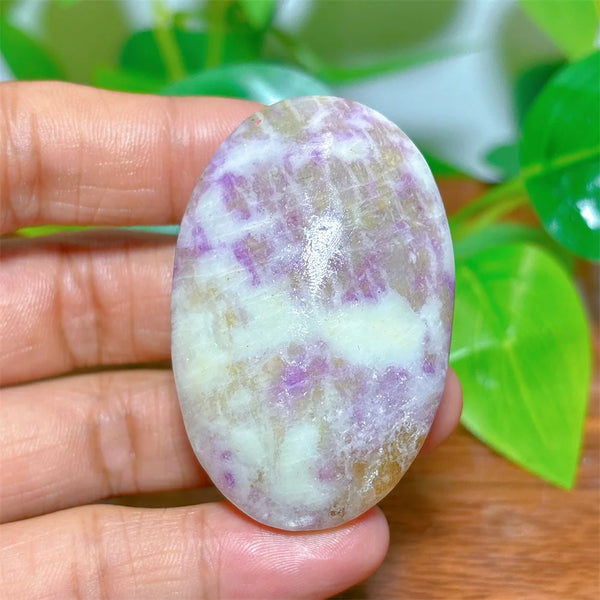 Rainbow Sodalite Palm Stone-ToShay.org