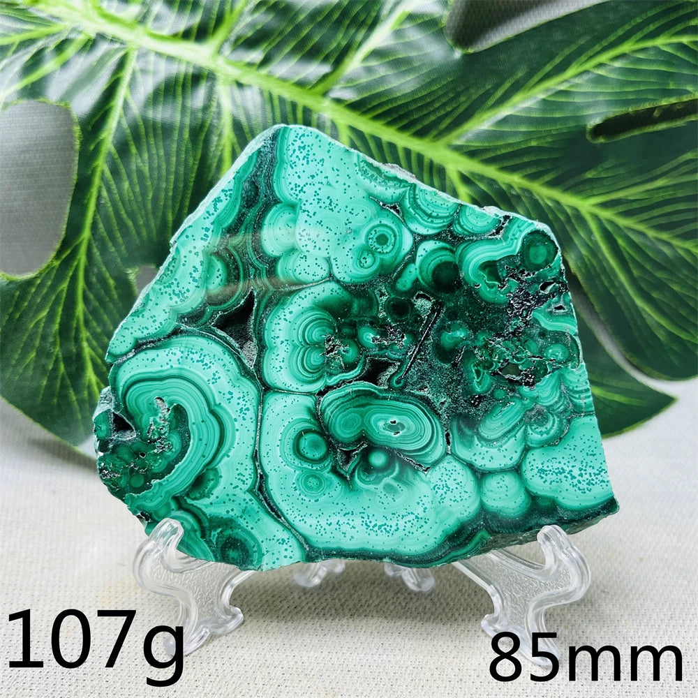 Green Malachite Slice-ToShay.org