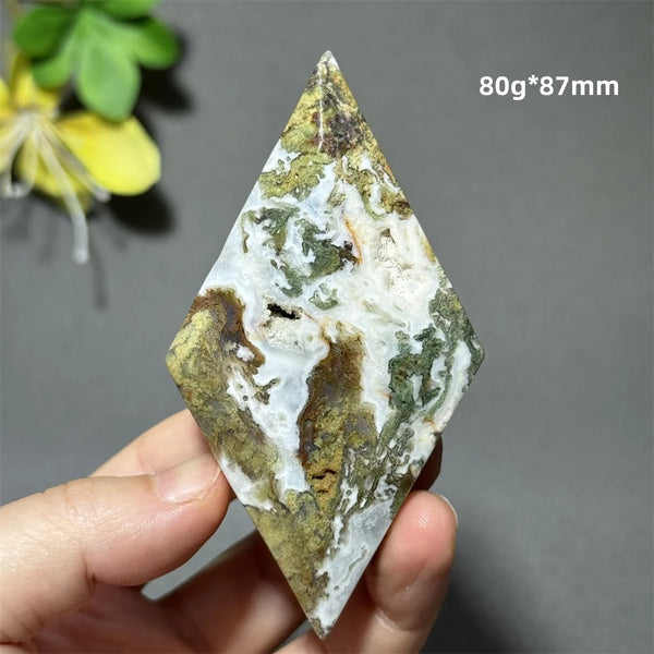 Green Aquatic Plant Agate-ToShay.org