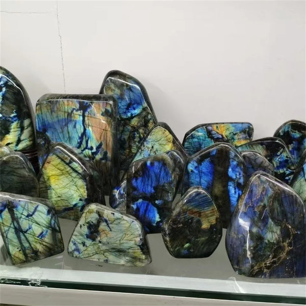 Blue Labrador Moonstone-ToShay.org